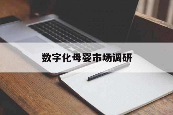 长沙市数字化母婴市场调研(数字化母婴市场调研报告)